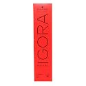 Schwarzkopf Igora Royal Permanent Hair Color 7-1 Medium Blonde Cendre Beauty & Personal Care Schwarzkopf Professional
