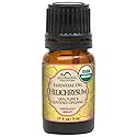 US Organic Helichrysum Essential Oil, USDA Certified Organic, Steam Distilled, Sourced from The Balkan Peninsula, High end Essential Oil (5 ml) Beauty & Personal Care US Organic