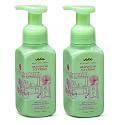 Bath & Body Works Gentle & Clean Foaming Hand Soap - Summer Favorites - Pack of 2 (Neapolitan Ice Cream) Beauty & Personal Care Bath & Body Works