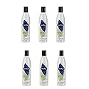 Shikai: Original Natural Formulas, Moisturizing Shampoo 12 oz (6 pack) Beauty & Personal Care ShiKai