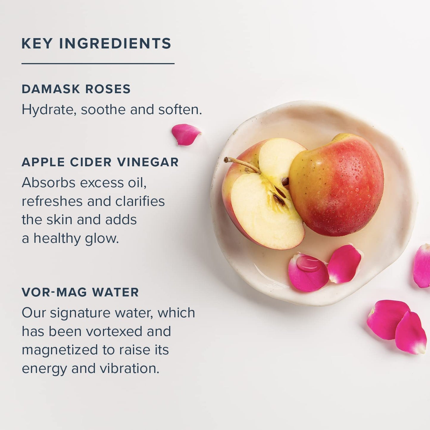 HERITAGE STORE Rosewater & Vinegar - Exfoliating Toner with Apple Cider Vinegar - Oily to Combination Skin - Refreshing Facial Mist Cleans, Refines Beauty & Personal Care HERITAGE STORE