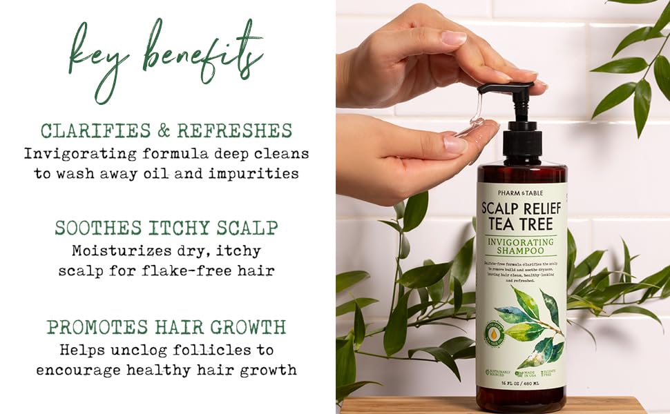 PHARM TO TABLE Tea Tree Shampoo For Men and Women - Infused with Tea Tree oil, Mint, Biotin and Vitamin E, 16.2oz Beauty & Personal Care PHARM TO TABLE