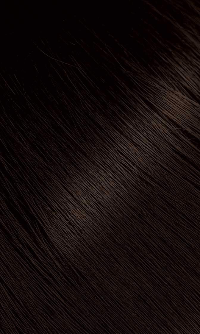 Bigen Powder Hair Color #47 Medium Chestnut 0.21oz (3 Pack) Beauty & Personal Care Bigen