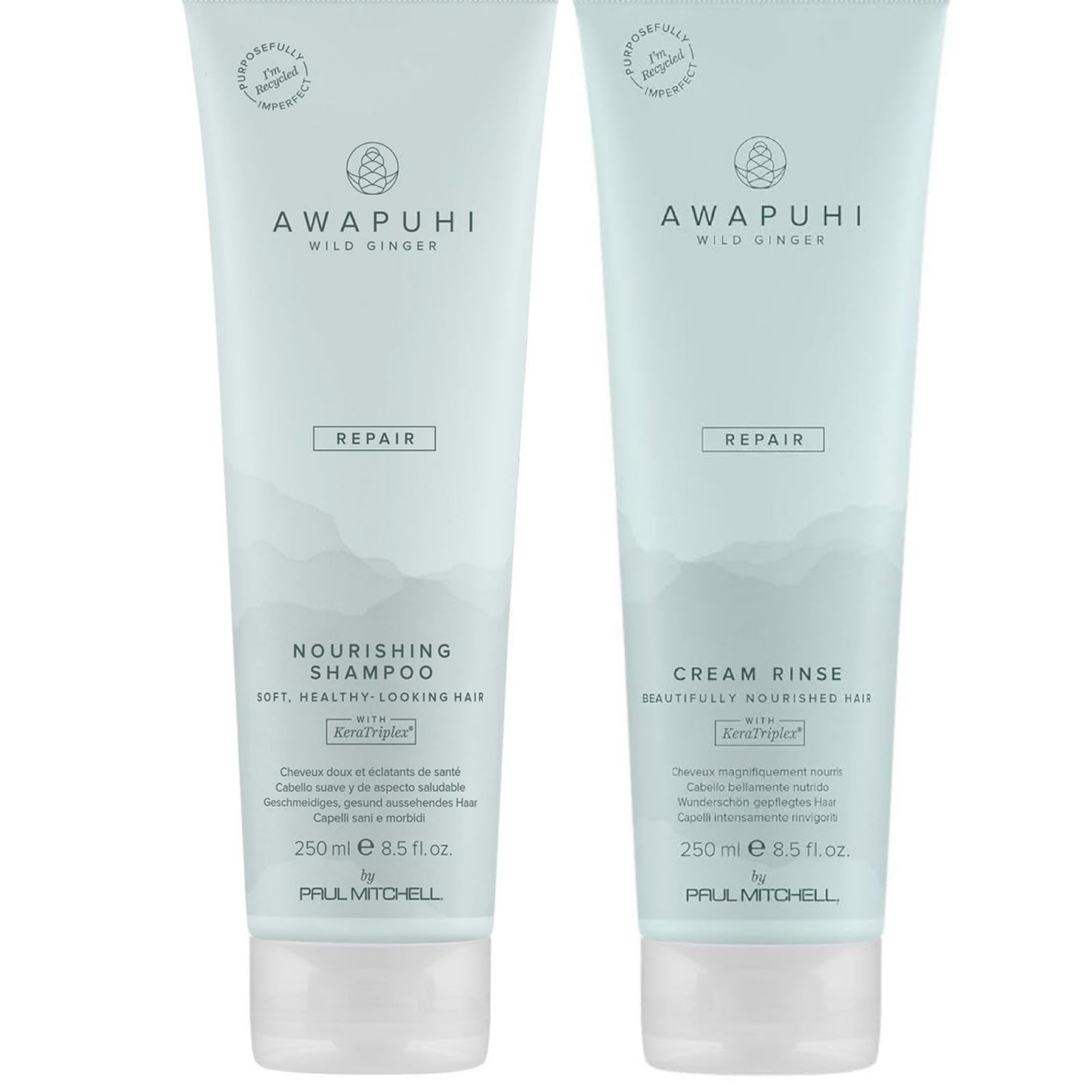 Awapuhi Wild Ginger Paul Mitchell Repair Gift Set Beauty & Personal Care Awapuhi Wild Ginger