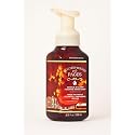 Bath and Body Works Leather-Bound Pages Gentle & Clean Foaming Hand Soap, 8.75 fl oz / 259 mL - Shea Extract, Aloe, Essential Oils Beauty & Personal Care Bath & Body Works