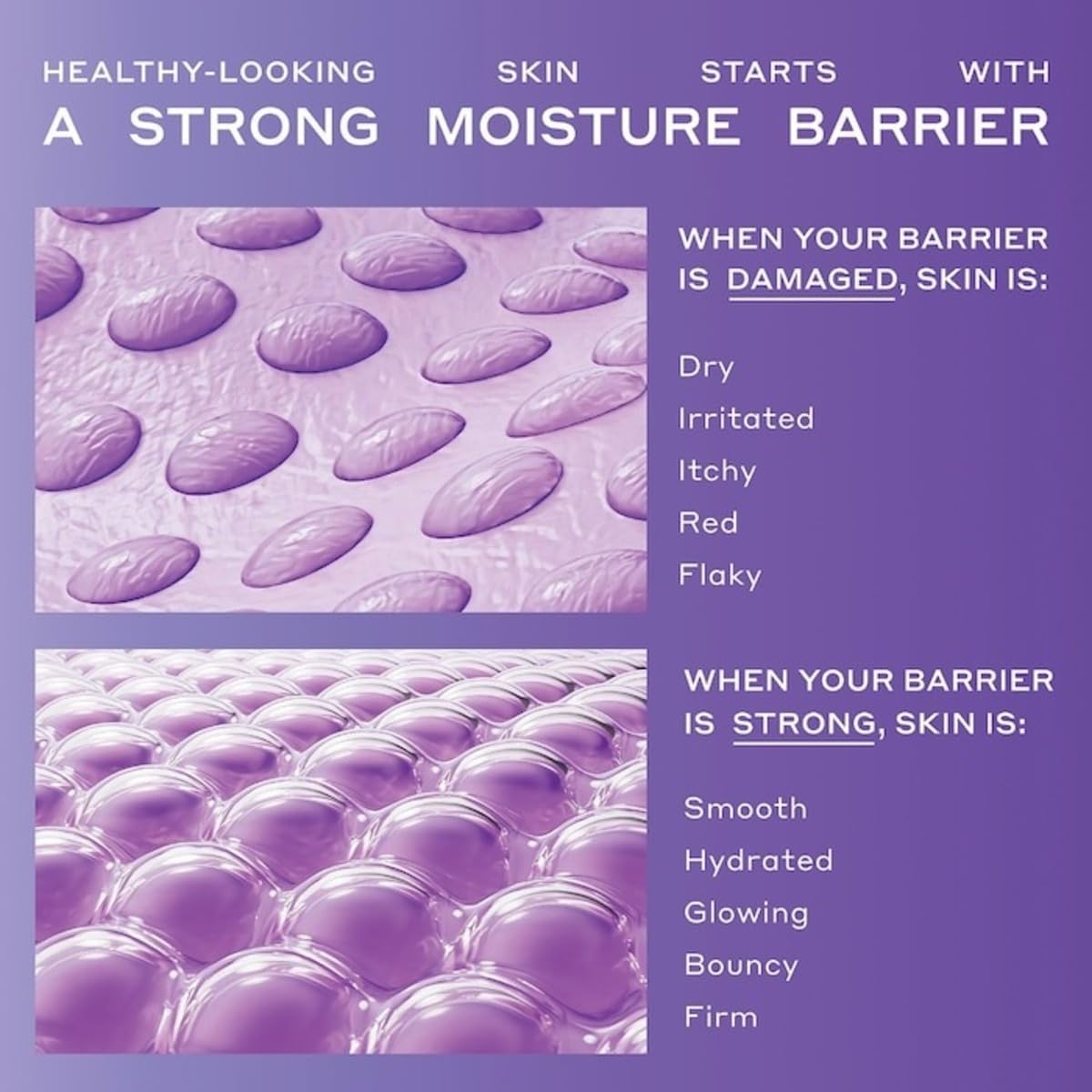 OLEHENRIKSEN Hydrabarrier Nourishing Face Oil 1 oz / 30 mL Beauty & Personal Care Ole Henriksen