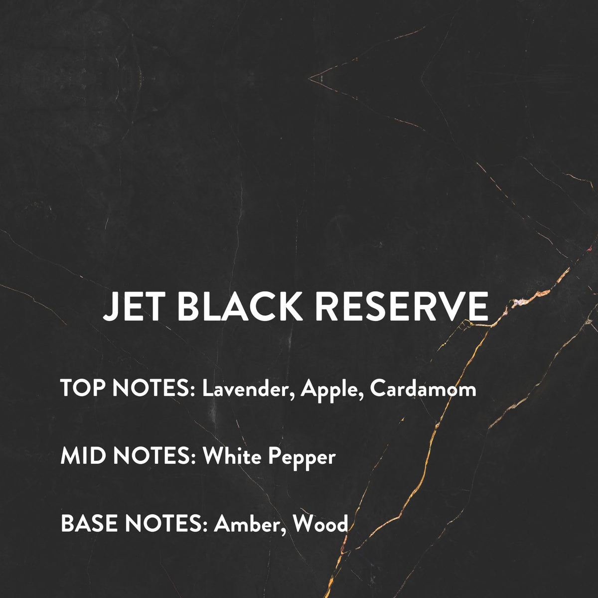 Michael Malul Jet Black Reserve Eau de Parfum for Men - 10ml Travel Size Beauty & Personal Care Michael Malul