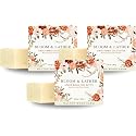 Walton Wood Farm, Bloom & Lather, 6.35 oz Shea Butter Soap: (Ginger & Mango (3 Pack)) Beauty & Personal Care Walton Wood Farm