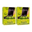 Hesh Pharma Amla Hair Powder 3.5oz., 100g (Pack of 2) Beauty & Personal Care Hesh