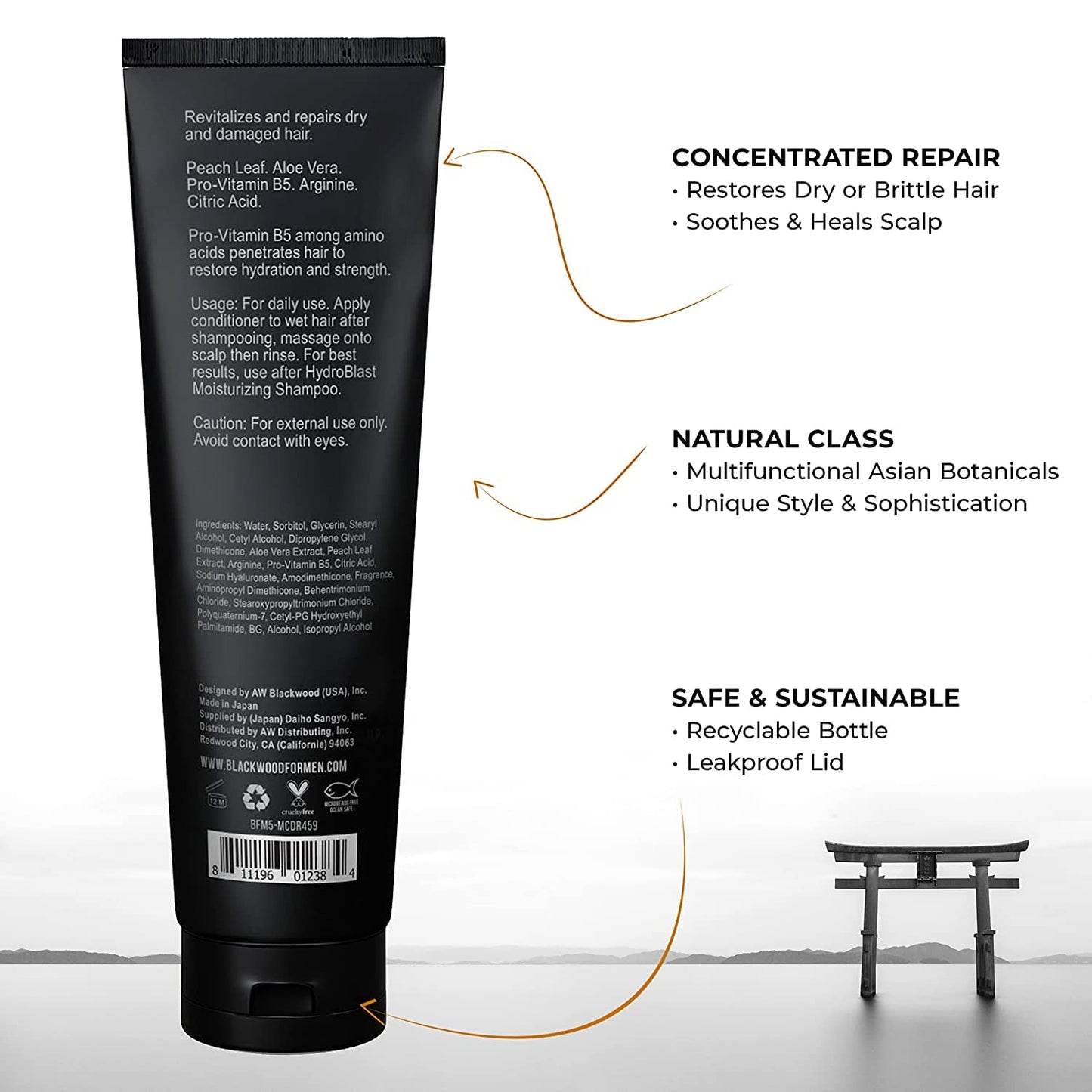 BLACKWOOD FOR MEN Hydro Cleanse Complete Set including Scalp Massager, Hydroblast Shampoo, Hydroblast Conditioner, Pure Moisture Body Wash, & BioFuse Beauty & Personal Care Blackwood For Men