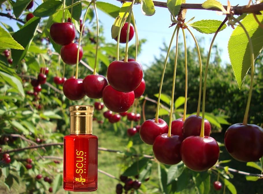 SCUS Perfumes Cherry Fragrance for Men & Women Floral Fruity Concentrated Perfume oil Long Lasting Fragrance Non-Alcoholic (Parfum 12ml with Velvet Beauty & Personal Care SCUS Perfumes