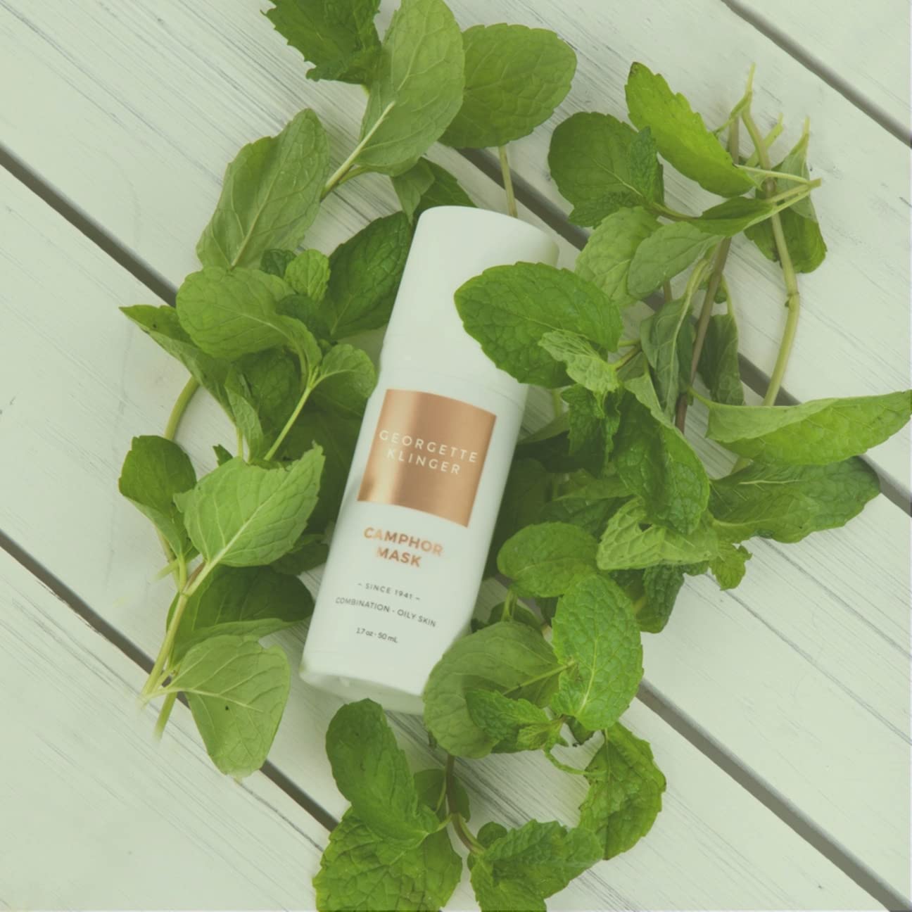 Georgette Klinger Camphor Mask - Mineral-Rich Clay Mask with Menthol & Vitamin E: Detoxify, Exfoliate, and Improve Skin Tone while Absorbing Excess Beauty & Personal Care Georgette Klinger