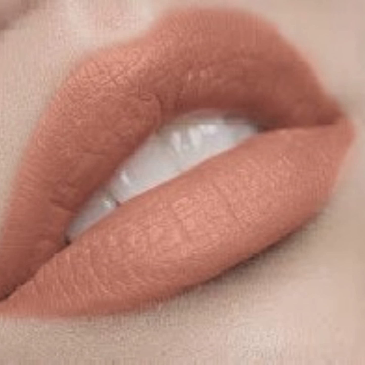 By The Clique Premium Long Lasting Matte Nude Lip Liner Pencil | Teddy Bear | Natural Soft Brown Nude | Ultra Wear Lip Liner Beauty & Personal Care By The Clique
