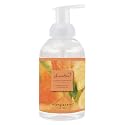 Mangiacotti Foaming Hand Soap Made in the USA|Naturally Scented Plant-Based Hand-Wash with Moisturizing Essential Oils in Pump Dispenser, 17 Ounces Beauty & Personal Care Mangiacotti