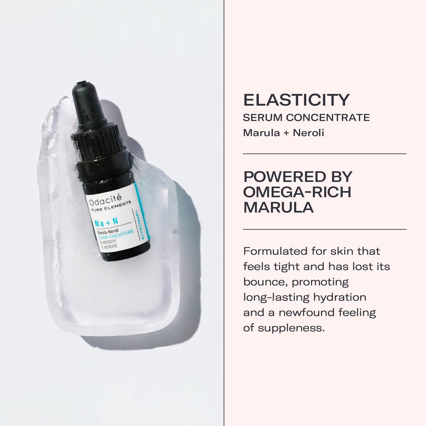 Odacité Anti Aging Serum Concentrate with Marula + Neroli, Elasticity Glow Recipe - Facial Oil for Hydration, Skin Texture & Visibly Smoother and More Beauty & Personal Care ODACITE