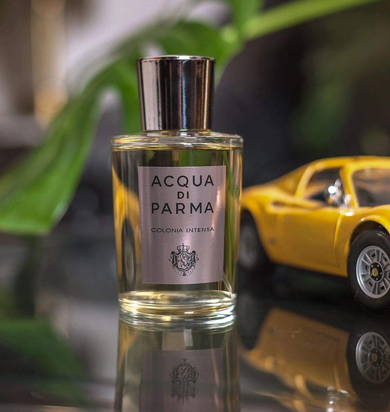 Acqua Di Parma Colonia Intensa Eau de Cologne Spray for Men, 6.0 Ounce, Multi Beauty & Personal Care Acqua Di Parma
