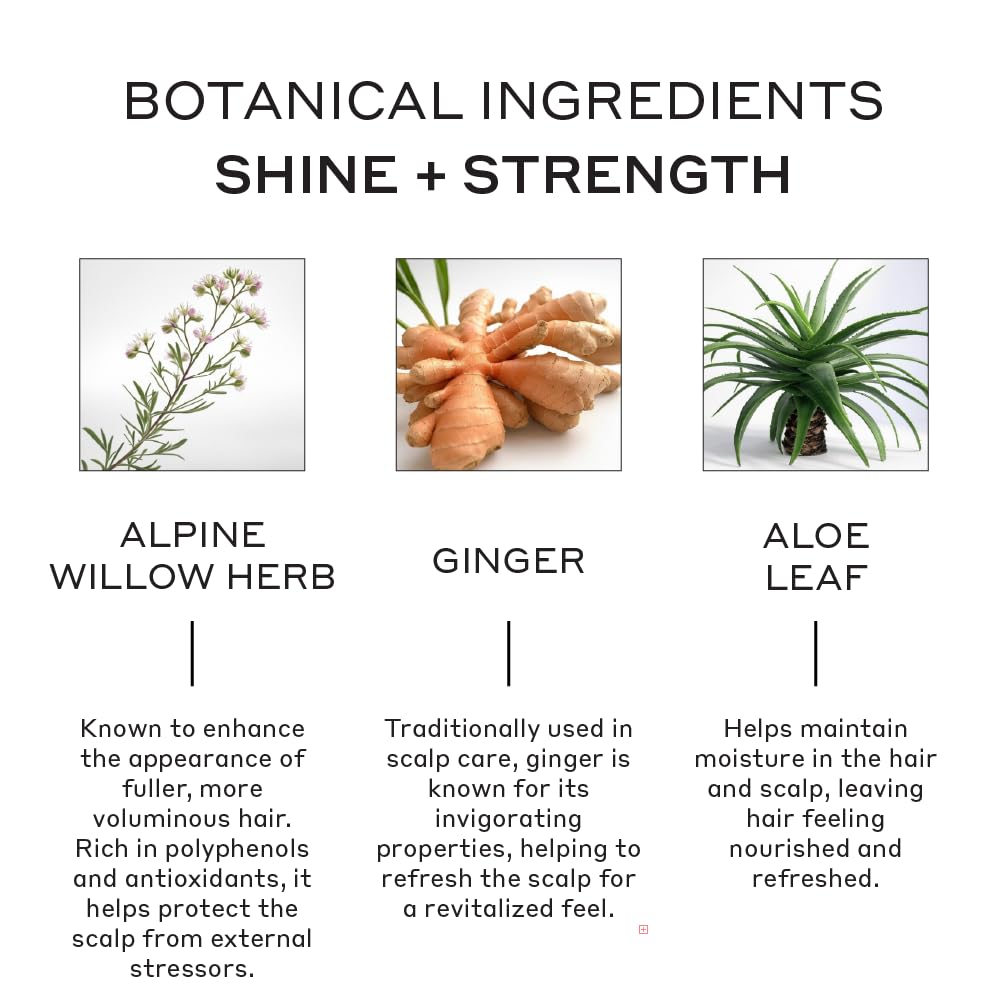 ZENAGEN Evolve Repair + Protect Nourishing Conditioner (Unisex) | Hydrates & Repairs Damaged Hair, Promotes Thicker Fuller Hair, Plant-Based Beauty & Personal Care Zenagen