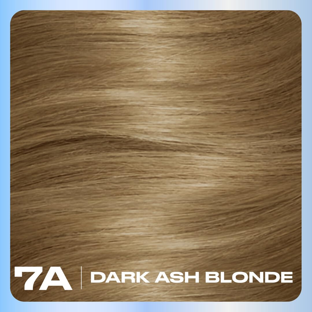 Clairol Nice'n Easy Permanent Hair Dye, 7A/7C Dark Cool Blonde | 100% Gray Coverage | Long?Lasting, Natural?Looking Color & Shine | Pack of 1 Beauty & Personal Care Clairol