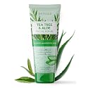 Skin 2.0 Tea Tree & Aloe Gentle Exfoliating Scrub - Dermatologist Tested, Multi-Tasking Cleanser, Clears Skin - Anti-Aging, Clean Beauty, Cruelty-Free Beauty & Personal Care Skin 2.0