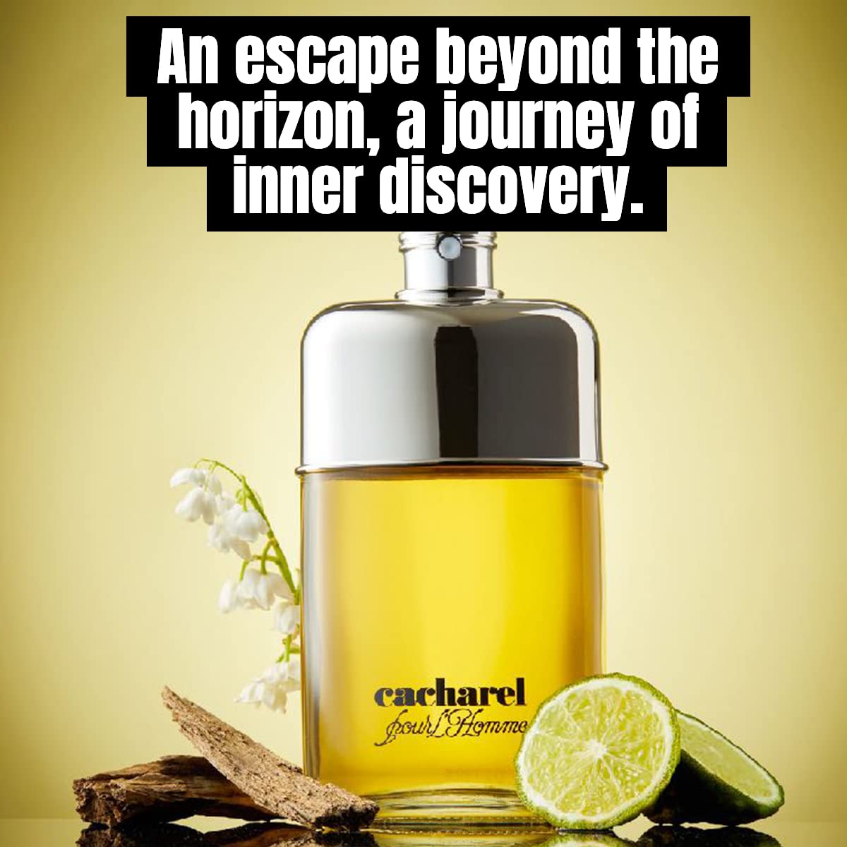 Cacharel Pour L'Homme Eau de Toilette Cologne for Men, Woody, Spicy and Floral Fragrance, Notes of Bergamot, Lily of the Valley Accord and Cedar Wood Beauty & Personal Care Cacharel