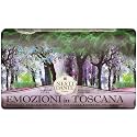 Nesti Dante Emozioni In Toscana Natural Soap - Enchanting Forest 250g/8.8oz Beauty & Personal Care Nesti Dante
