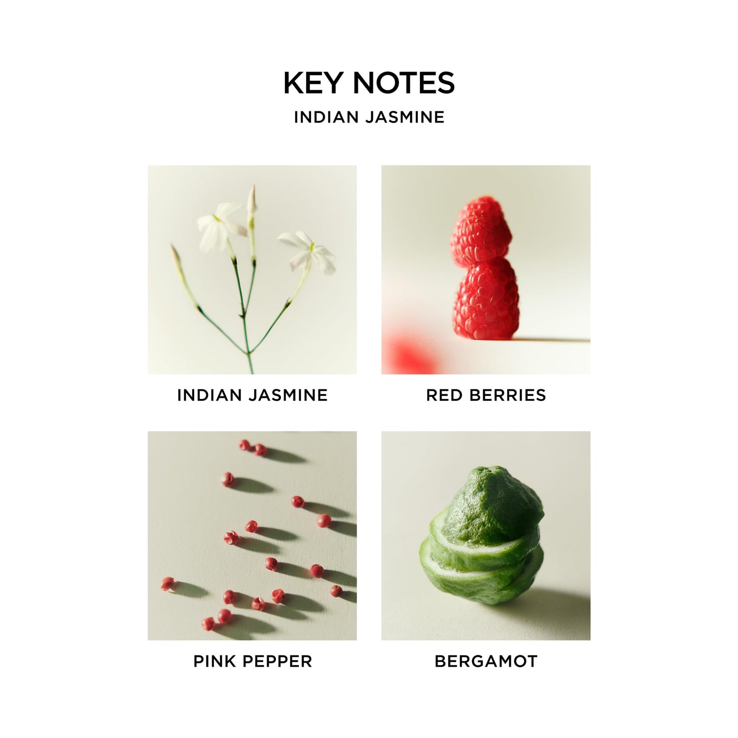 NEST New York Indian Jasmine Body Mist - 125 mL - Vegan & Cruelty Free Beauty & Personal Care NEST New York