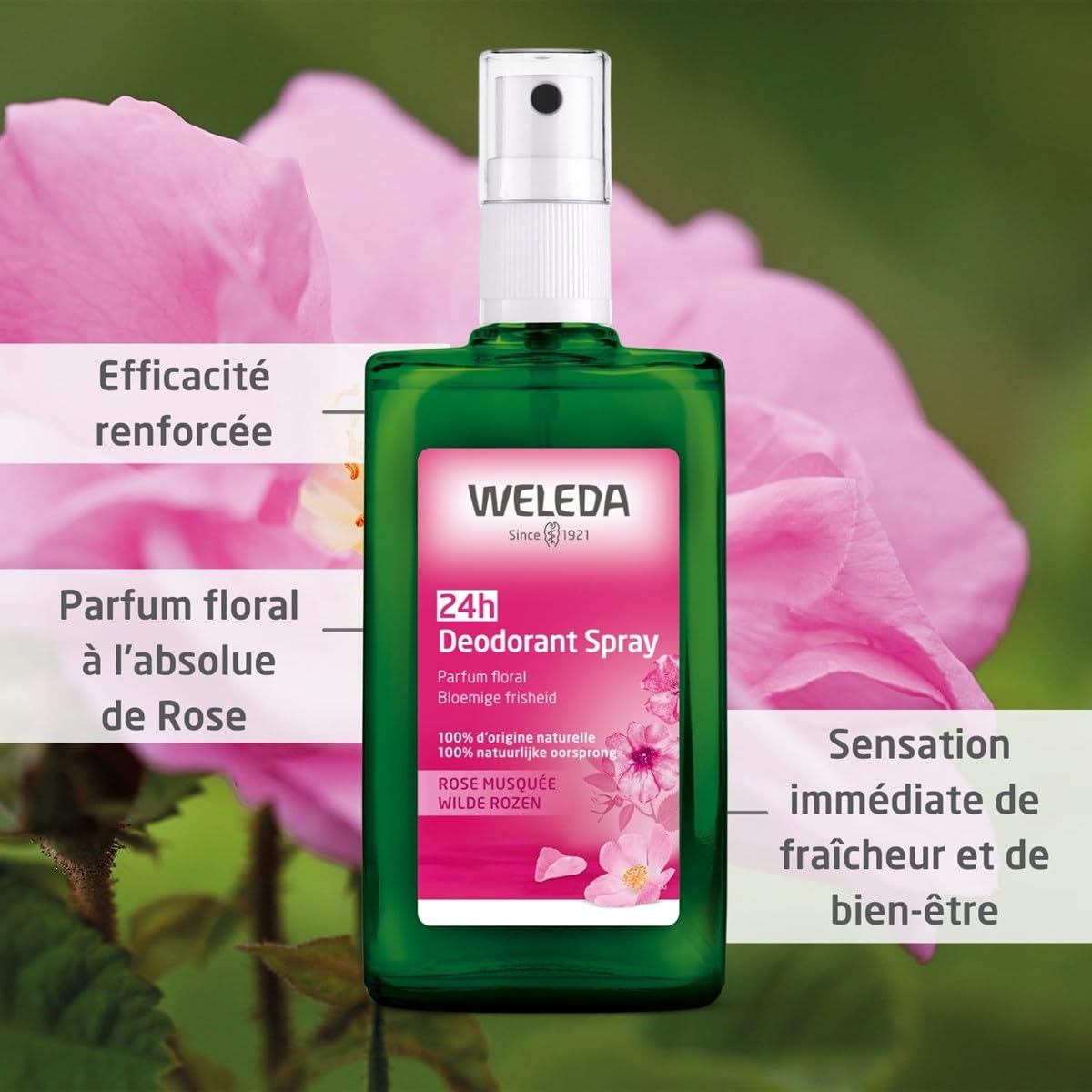 Weleda Deodorant Spray, Wild Rose, 3.4 Oz, 3.4 Ounces Beauty and Personal Care Weleda
