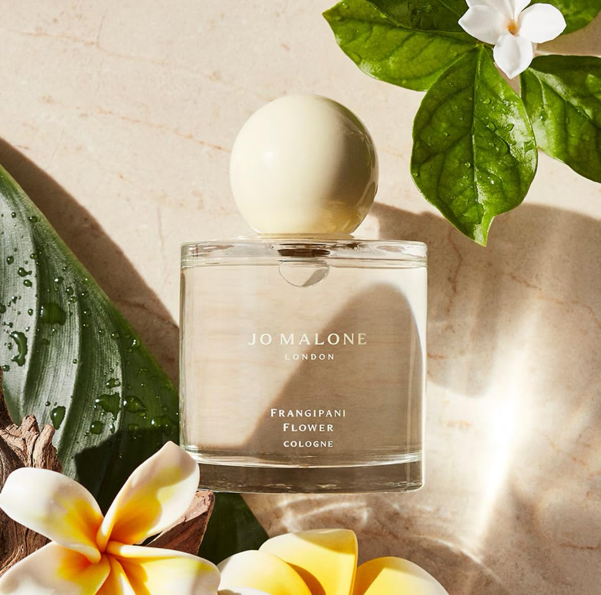Jo Malone London Frangipani Flower Cologne, 3.4 oz /100 ml Beauty & Personal Care Jo Malone