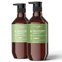 THEORIE 400 mL Shampoo & Conditioner Collection (THEORIE Sage Collection Hair Care Sets (Green Tea & Bamboo 400 mL Shampoo & Conditioner Set)) Beauty & Personal Care Theorie