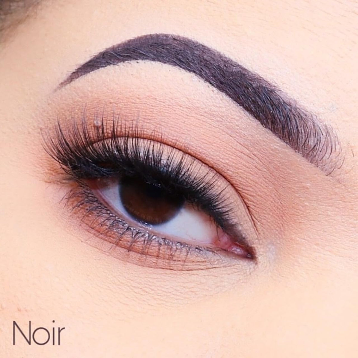 3D FAUX MINK LASHES: NOIR Beauty & Personal Care Cala