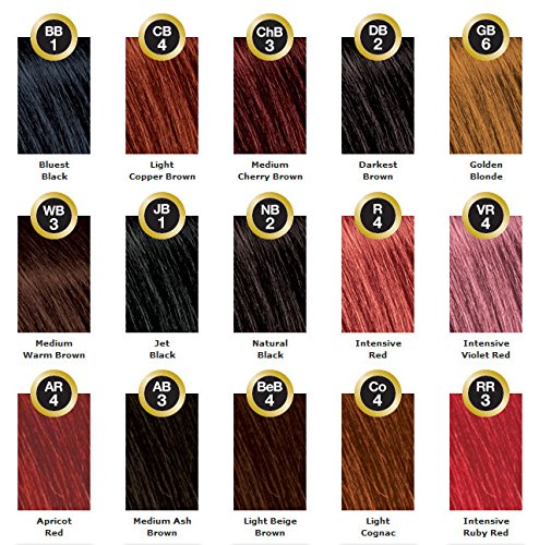 Bigen Semi Permanent Hair Color, Natural Black, 3 Fl Oz (BSPNB2) Beauty & Personal Care Bigen
