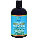 Shampoo,Henna Highlight Beauty & Personal Care Rainbow Research