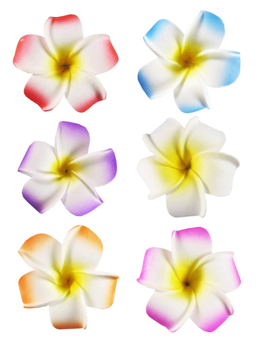 2.5" Hawaiian Hair Flower Clip Hair Barrettes for Women.Hair Buckle 4 Moana Luau Hawaiian Dresses for Women-6pc Hair Clips for Thin Hair,Hair Clips Beauty & Personal Care HipGirl