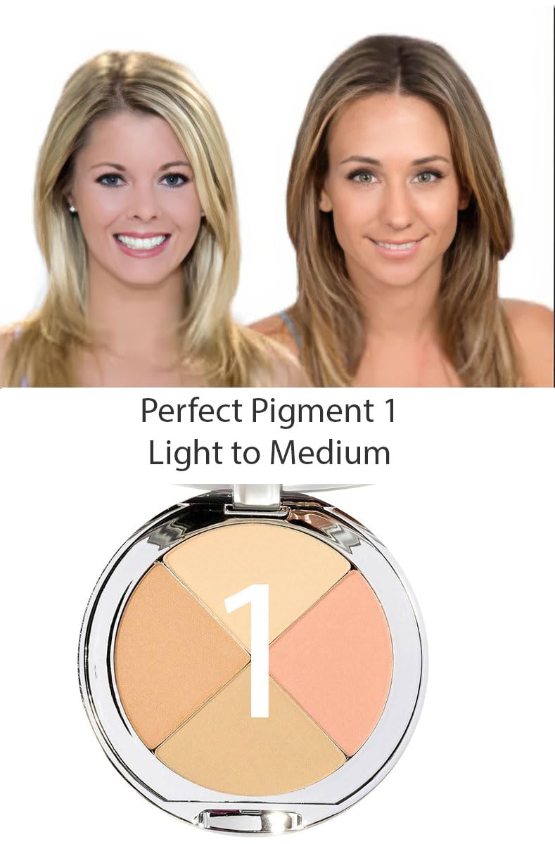 Christina Cosmetics Perfect Pigment 1 Mineral Compact: The One Minute Miracle Makeup! Beauty & Personal Care Christina Cosmetics