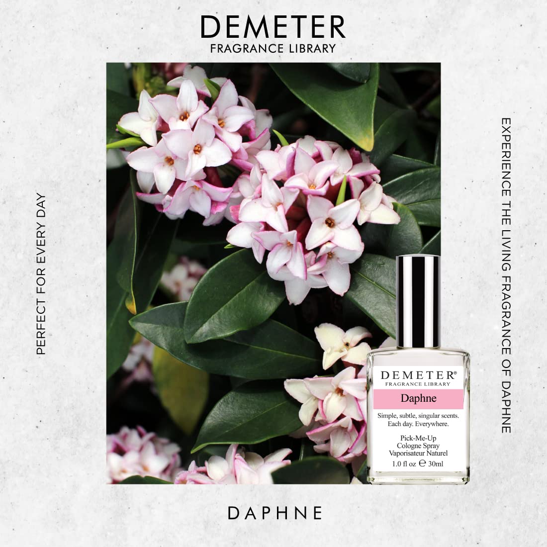 DEMETER Daphne, 1 oz Cologne Spray, Perfume for Women Beauty & Personal Care DEMETER