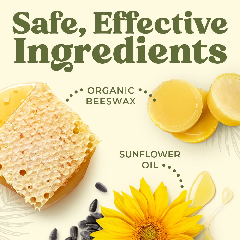 SPF Lip Balm 4-Pack by Earth's Daughter - Lip Sunscreen, SPF 15, Organic Ingredients, Coconut Flavor, Beeswax, Coconut Oil, Vitamin E Beauty and Personal Care Earth's Daughter