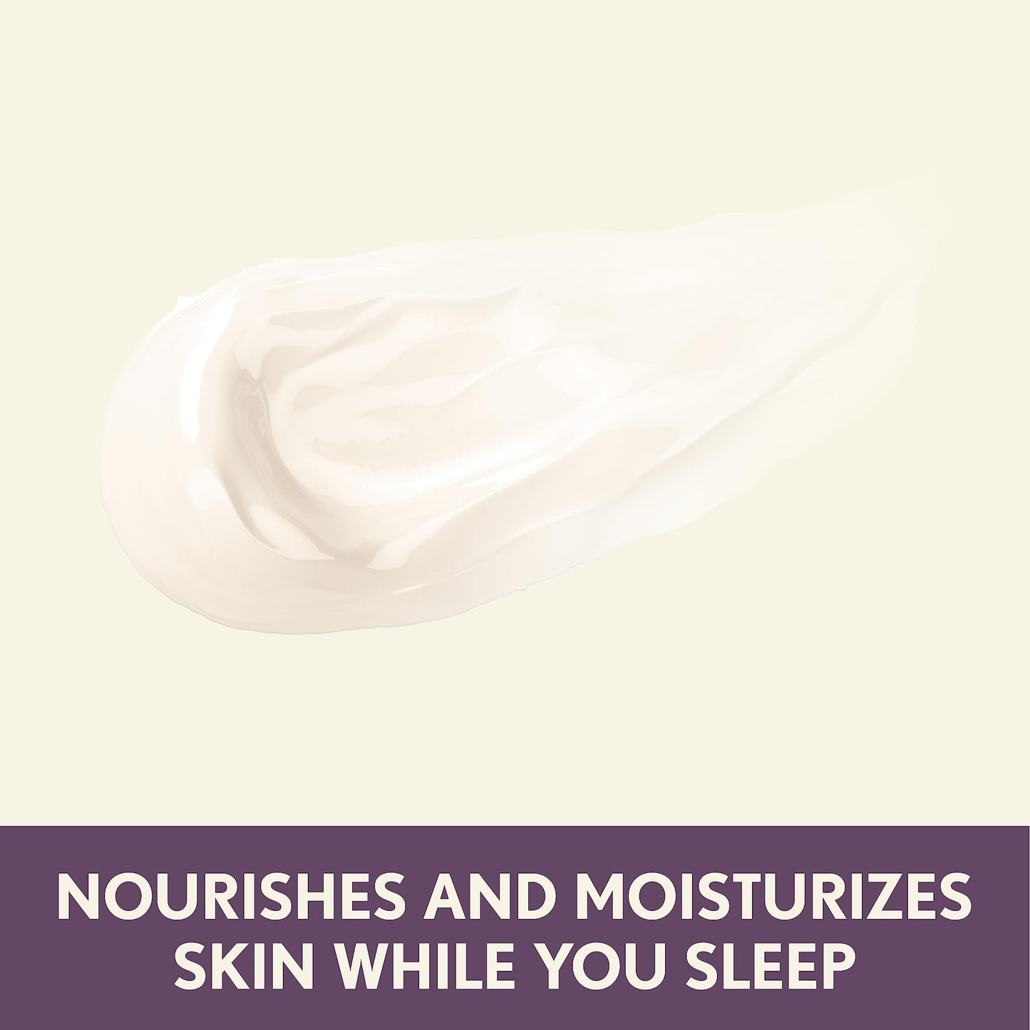 Aveeno Absolutely Ageless Restorative Night Cream Face & Neck Moisturizer with Antioxidant-Rich Blackberry Complex, Vitamin C & E, Hypoallergenic Beauty & Personal Care Aveeno