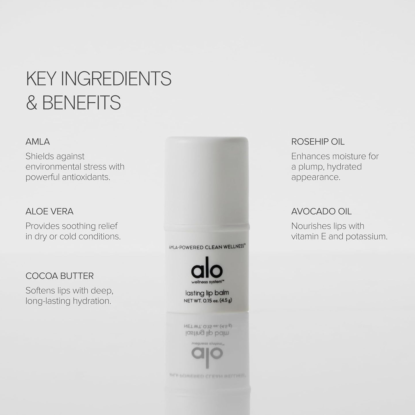 ALO Lasting Lip Balm - Vitamin C-Enriched - Instant Moisture and Hydration - Nourishing Formula Made with Aloe, Cocoa Butter & Rosehip - Citrus Flavor Beauty and Personal Care Alo