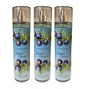Bath & Body Works Juniper Breeze Fine Fragrance Mist 8oz - Pack of 3 Beauty & Personal Care Bath & Body Works
