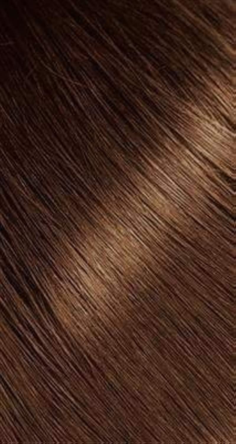 Bigen Powder Hair Color, Chocolate, 0.21 Oz (BU02P03505) Beauty & Personal Care Bigen