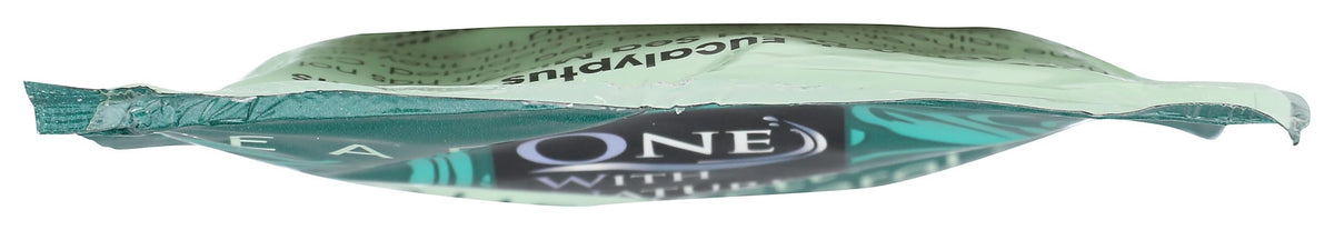 One With Nature Eucalyptus Dead Sea Bath Salt Packet, 2.5 OZ Beauty and Personal Care One With Nature