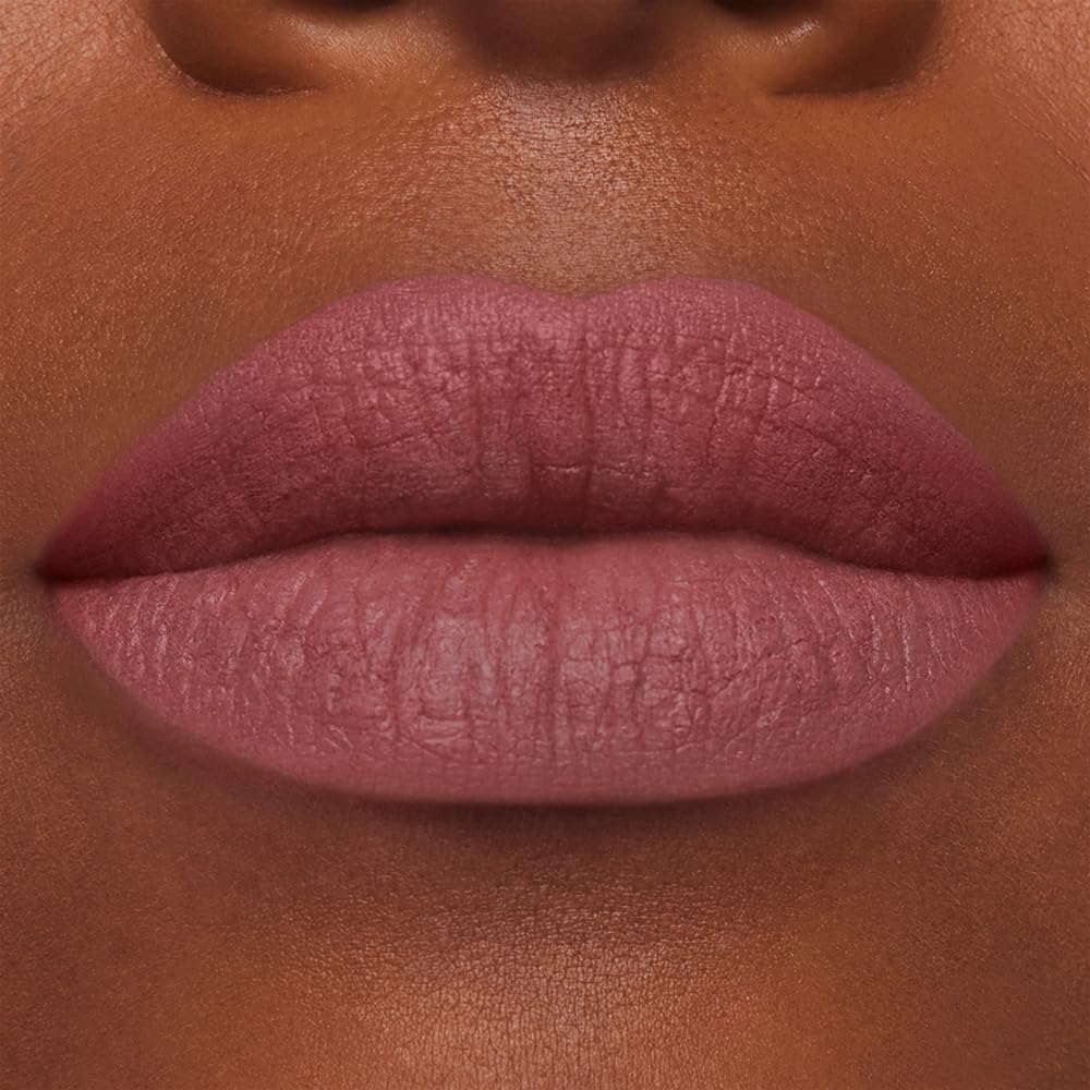 Estée Lauder Pure Color Long-Lasting Matte Lipstick for Women with Matte Finish | Plumping & Nourishing, 0.12 Ounce, 855 Risk It All Beauty & Personal Care Estée Lauder