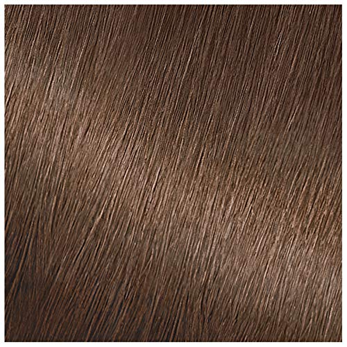 Garnier Nutrisse Nourishing Color Creme 51 Medium Ash Brown (Cool Tea), (Packaging May Vary) Beauty & Personal Care Garnier
