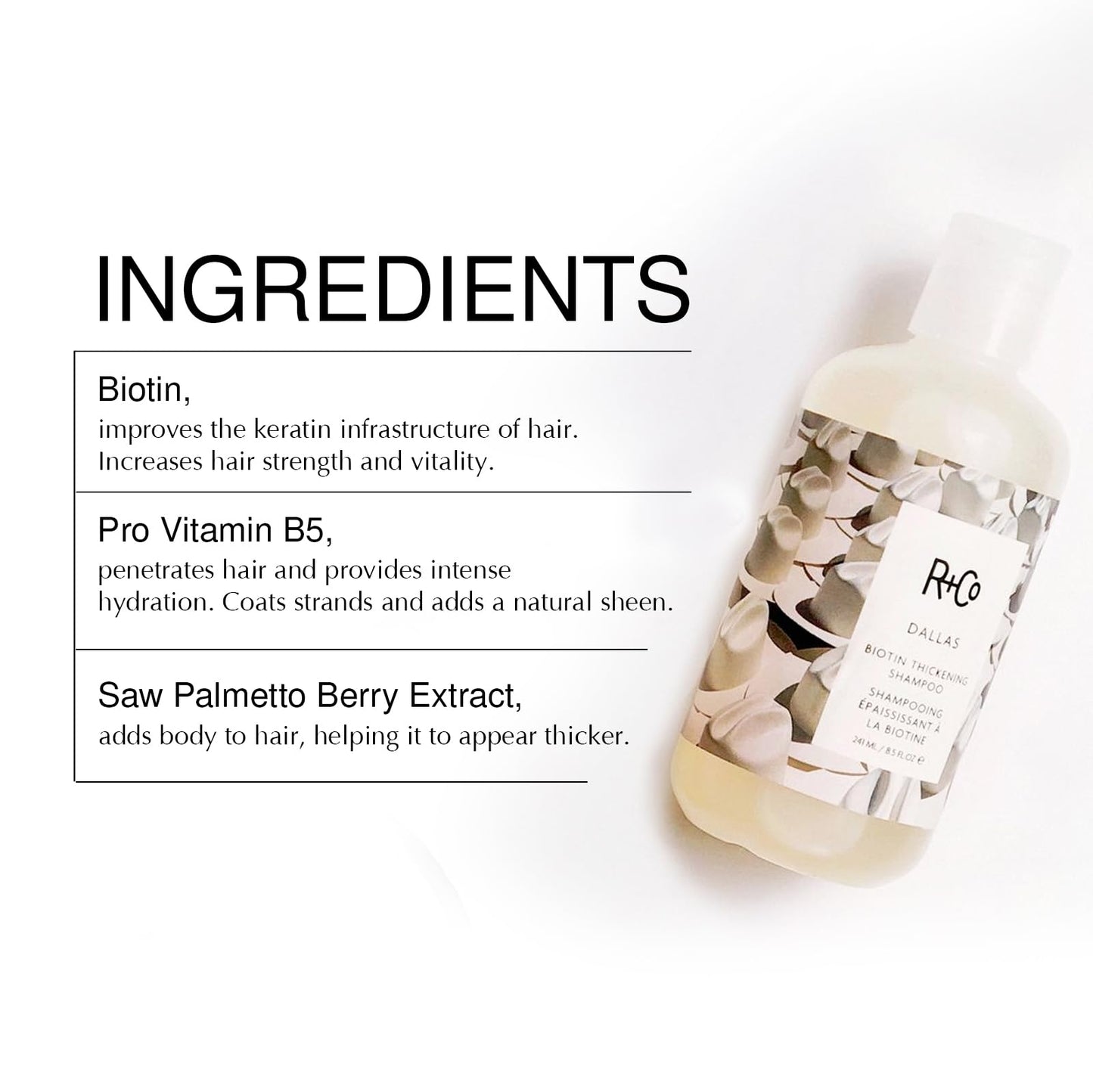 R+Co Dallas Biotin Thickening Shampoo and Conditioner Set- Volumizing Formula for Fine, Thin Hair - Adds Strength, Body & Fullness - Sulfate-Free Beauty & Personal Care R+Co