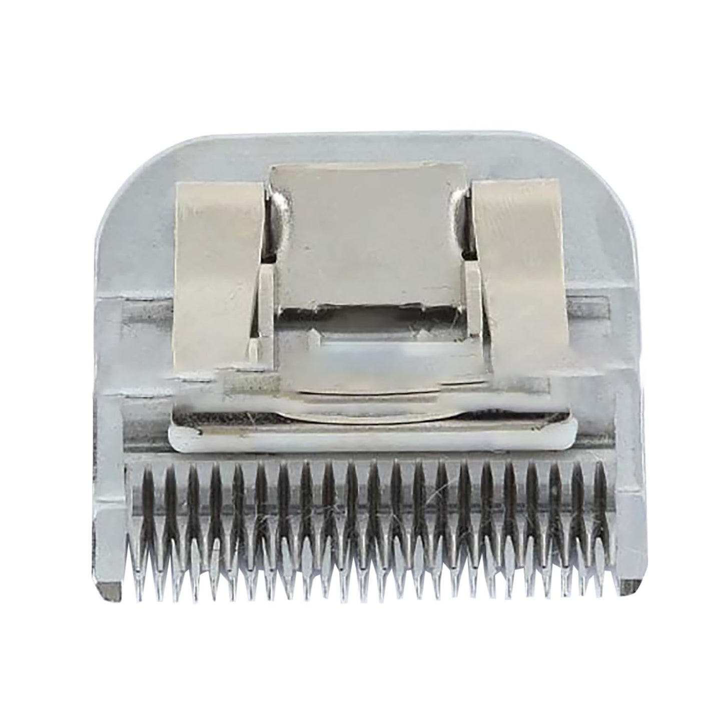 DBEIXIWEI Stainless Steel Pet Grooming Clipper Blade 10F# 1/6" Detachable Electric Trimmer Blade Suitable for Andis AG, AGC, BDC Beauty and Personal Care DBEIXIWEI