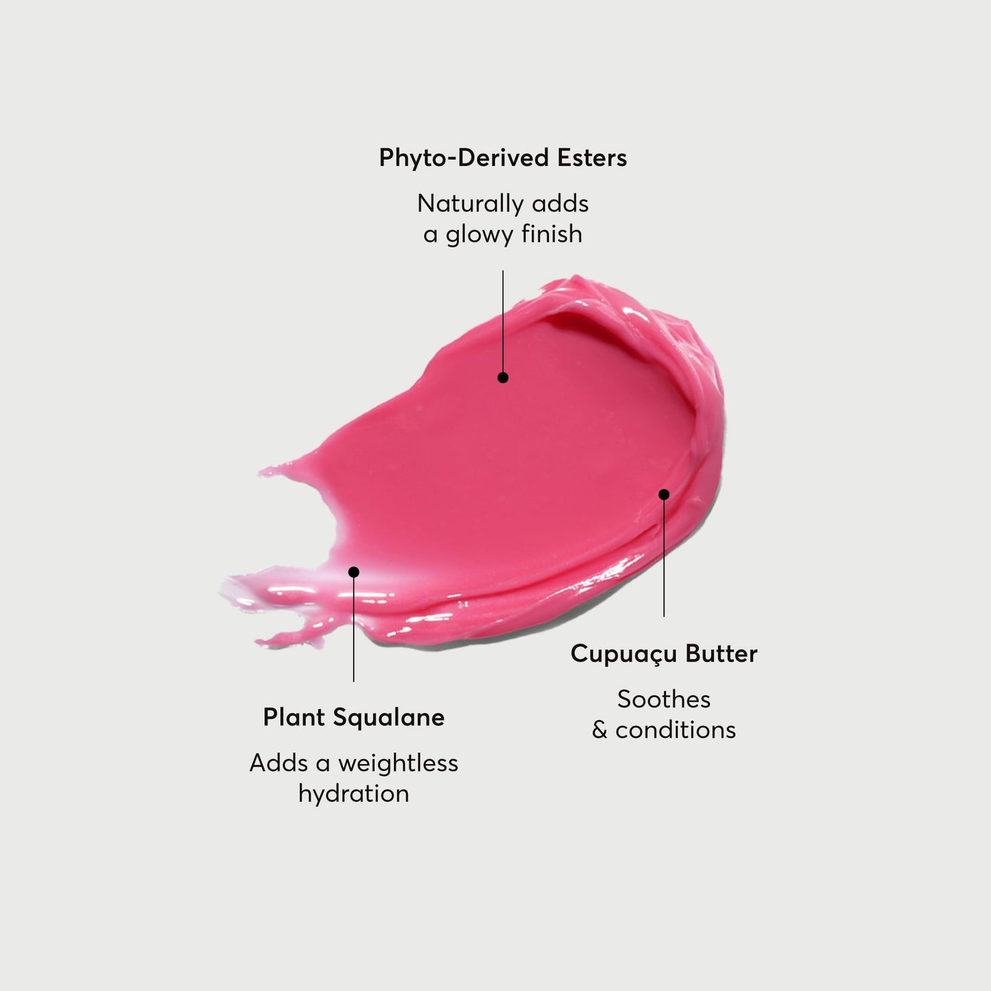Naturium Phyto-Glow Lip Balm, Hydrating Lip Care with a Glossy Finish, 0.34 oz Camellia Beauty & Personal Care Naturium