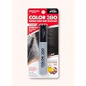 Absolute New York Color 2 Go Hair Mascara (HCHM01 Jet Black, .42 oz) Beauty & Personal Care Absolute New York