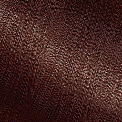 Garnier Hair Color Nutrisse Nourishing Creme, 415 Soft Mahogany Dark Brown (Raspberry Truffle), 2 Count Beauty & Personal Care Garnier