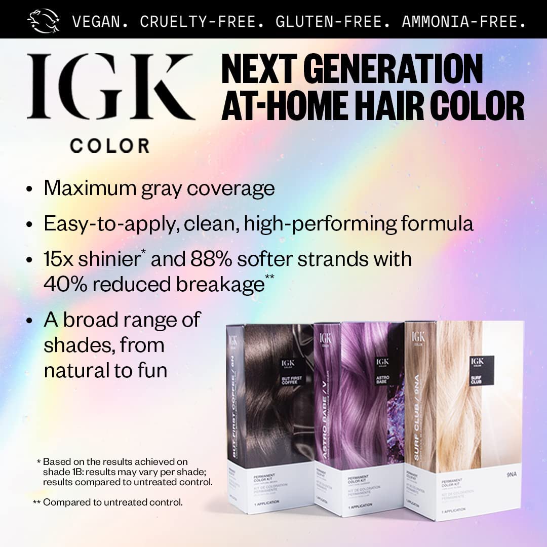 IGK Permanent Color Kit TITANIUM - Pure Cool Gray BA | Easy Application + Strengthen + Shine | Vegan + Cruelty Free + Ammonia Free | 4.75 Oz (2 Pack) Beauty & Personal Care IGK
