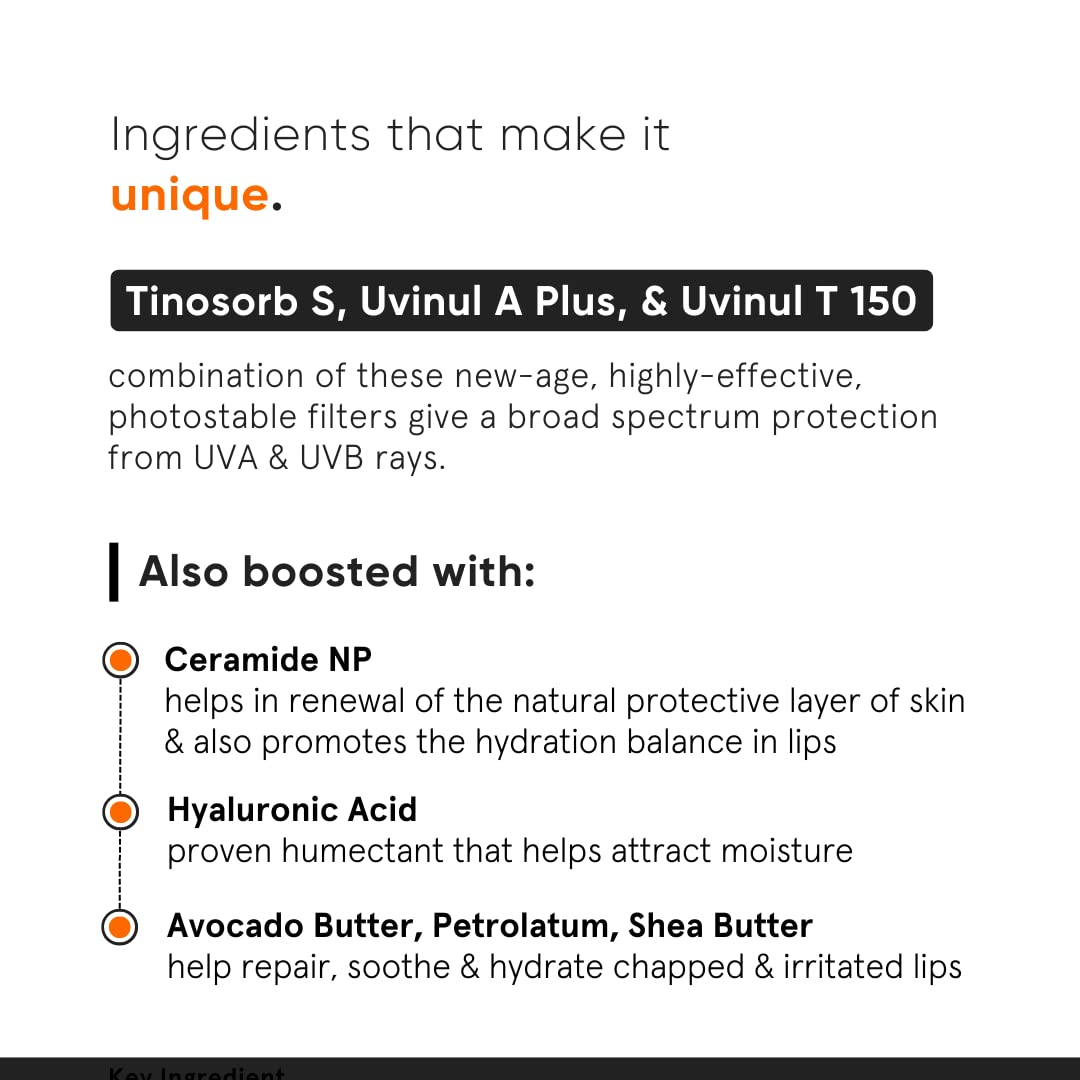 Minimalist Ceramide Lip Balm Beauty and Personal Care Minimalist